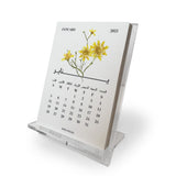 2025 Calendar